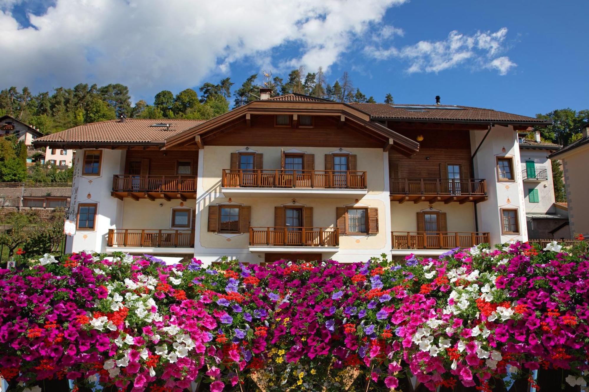 Residence Garni Manuela Cavalese Bagian luar foto
